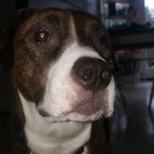 Meet your Posher, Chloe